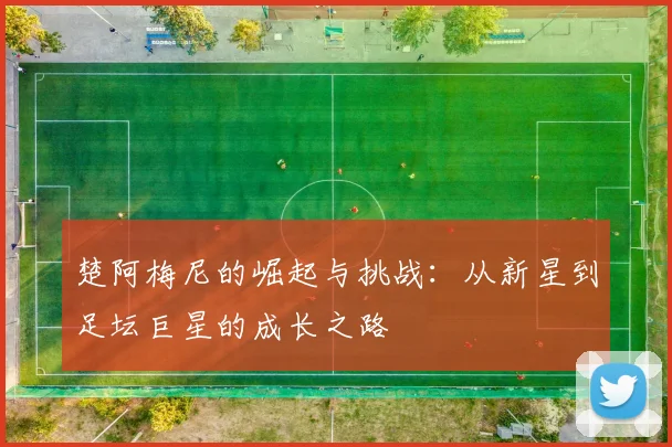 楚阿梅尼的崛起与挑战：从新星到足坛巨星的成长之路