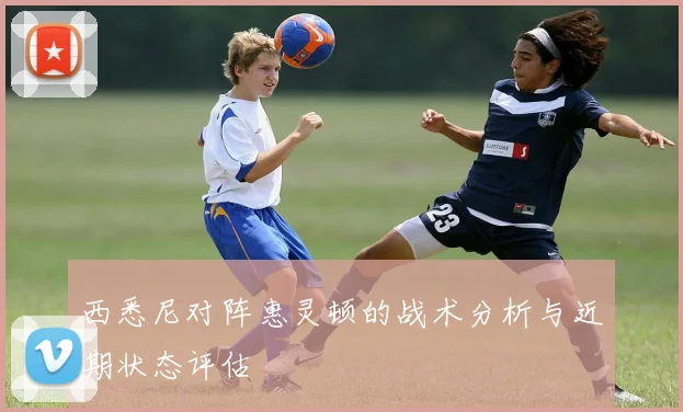 西悉尼对阵惠灵顿的战术分析与近期状态评估
