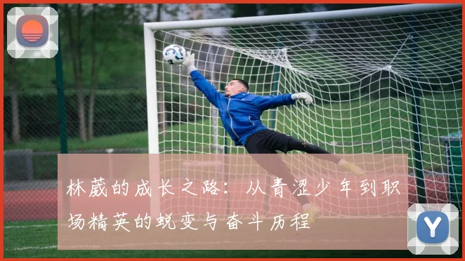 林葳的成长之路：从青涩少年到职场精英的蜕变与奋斗历程