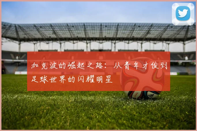 加克波的崛起之路：从青年才俊到足球世界的闪耀明星